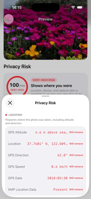 The privacy risk sheet, listing GPS, camera and capture fields with their values